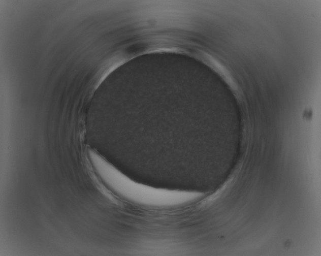 X0000094911377200712131443
