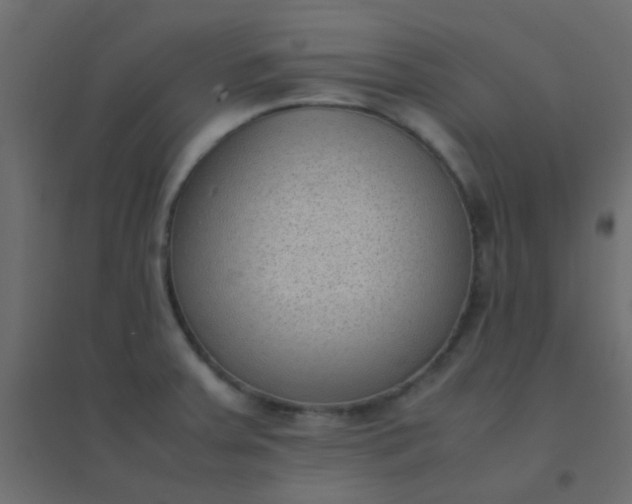 X0000094911379200712131443