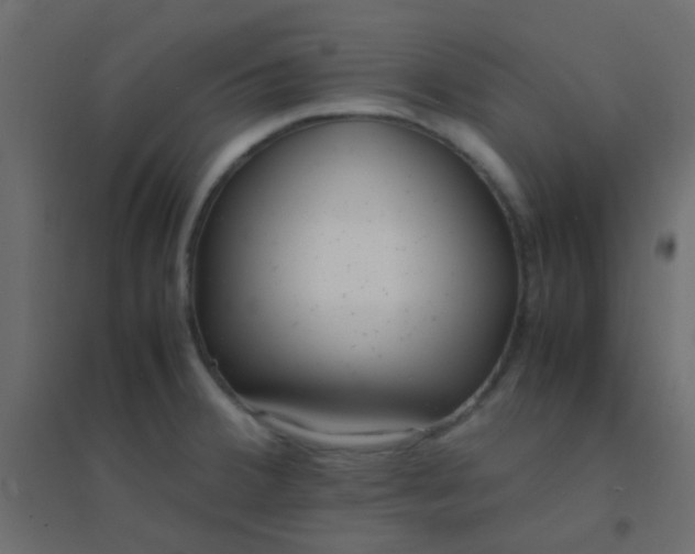 X0000094911380200712131443