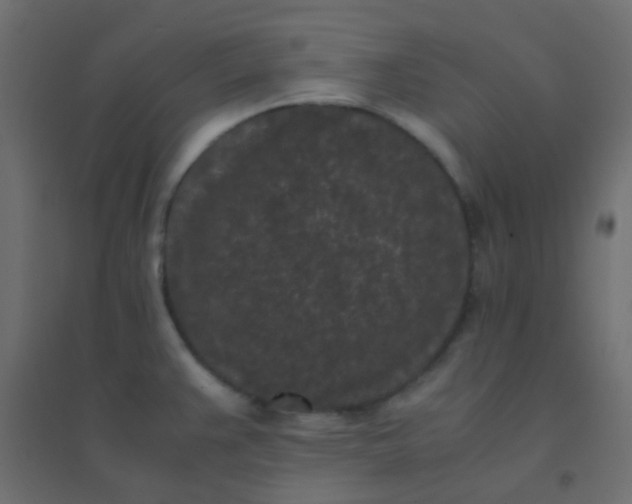 X0000094911383200712131443