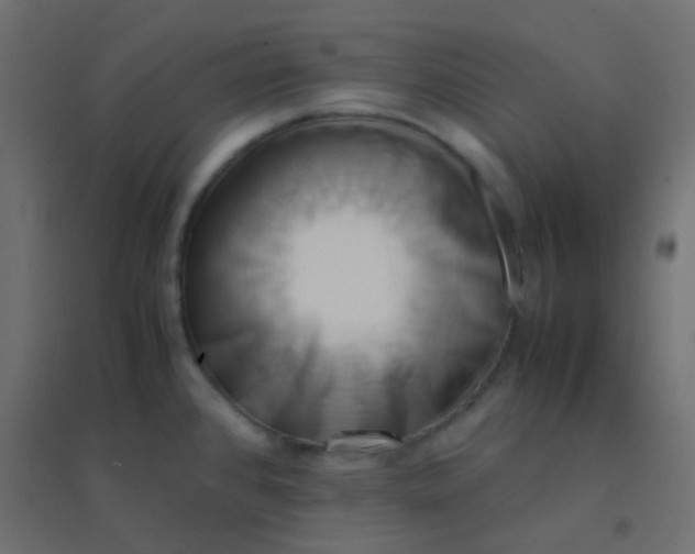 X0000094911384200712131443