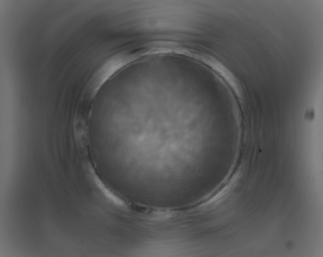 X0000094911385200712131443