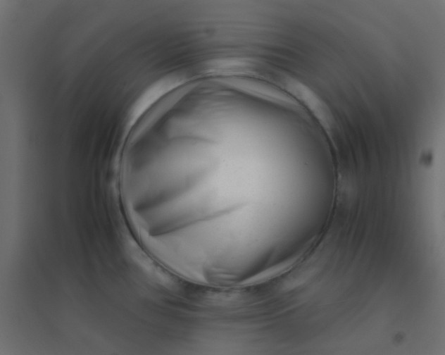 X0000094911386200712131443
