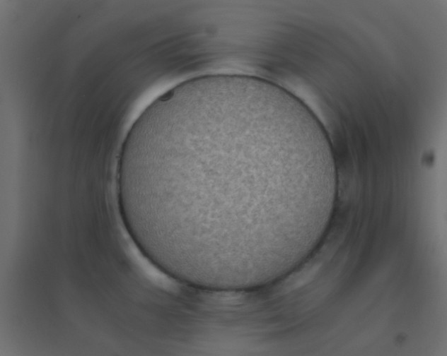 X0000094911387200712131443