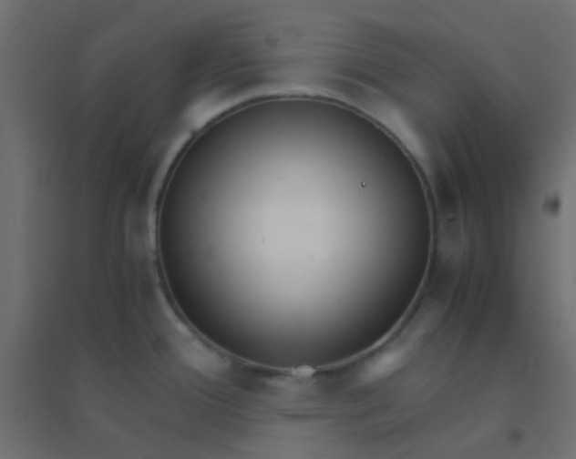 X0000094911388200712131443