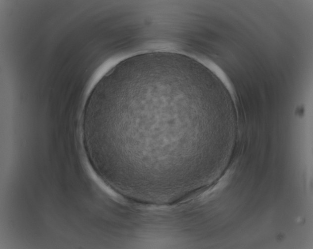 X0000094911389200712131443