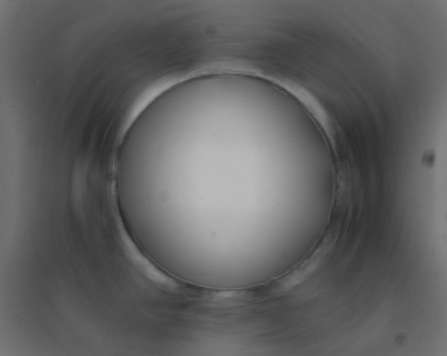 X0000094911390200712131443