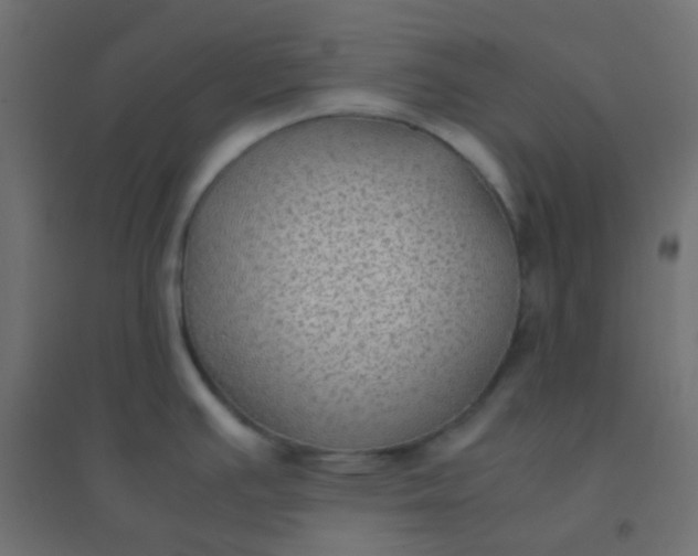 X0000094911391200712131443