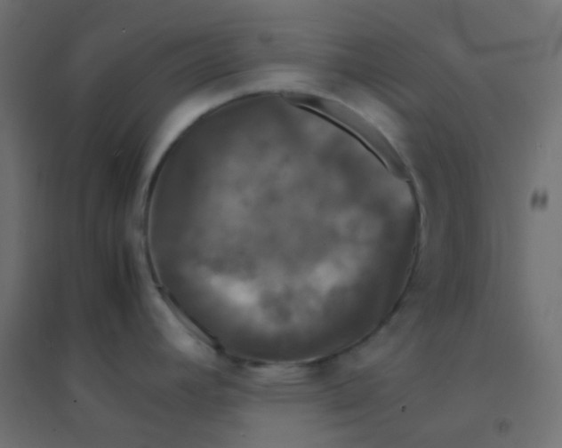 X0000094911392200712131443