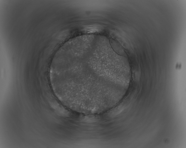X0000094911393200712131442