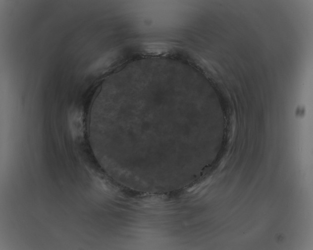 X0000094911394200712131442
