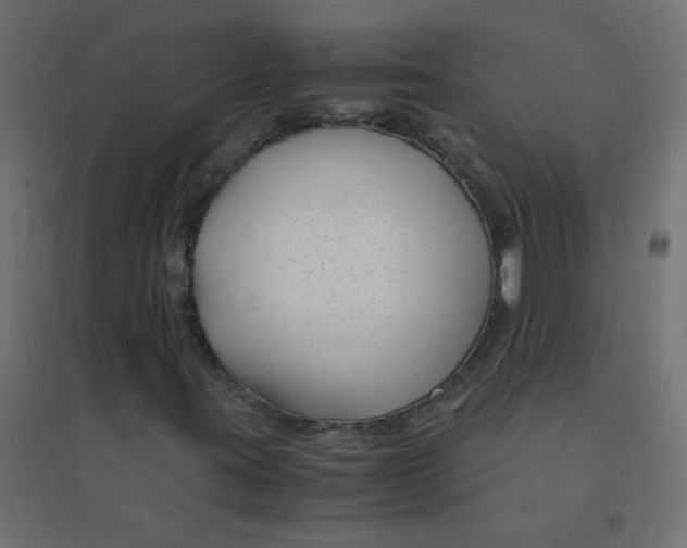 X0000094911395200712131442
