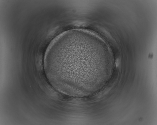 X0000094911396200712131442
