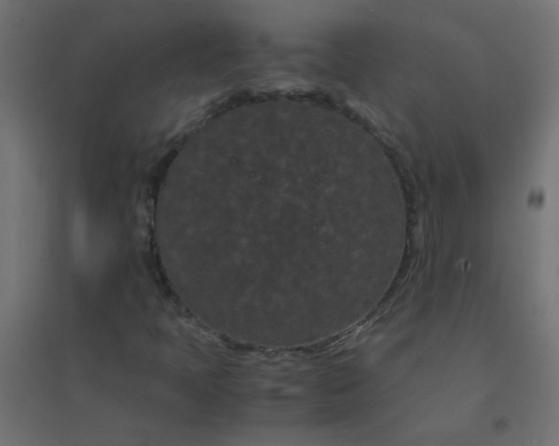 X0000094911397200712131442