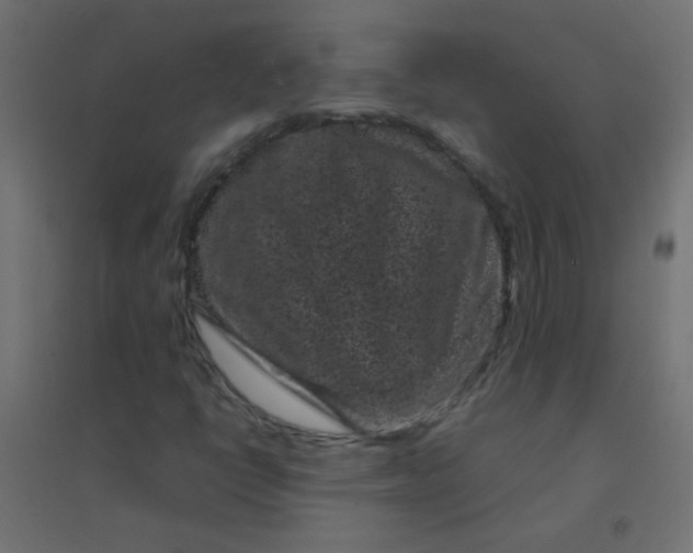 X0000094911398200712131442