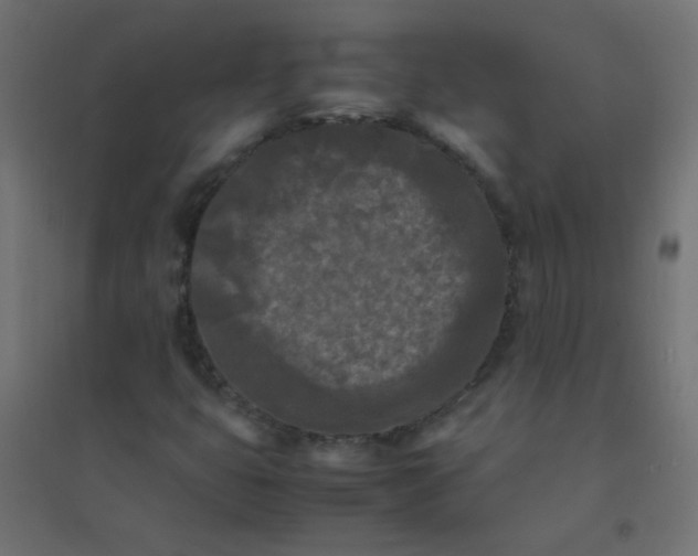 X0000094911399200712131442
