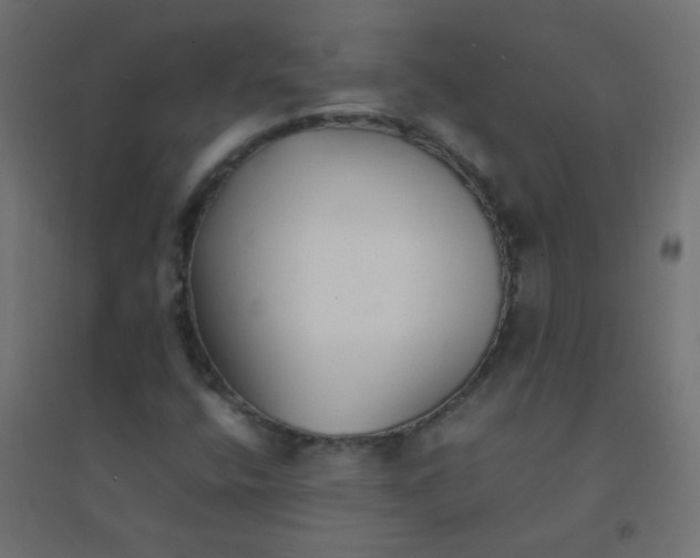 X0000094911400200712131442