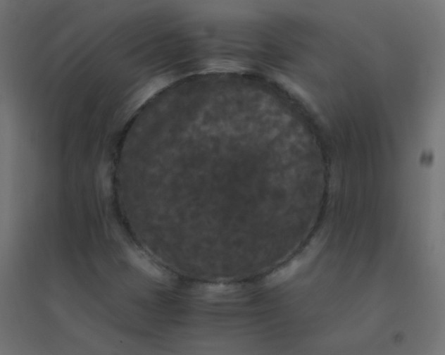 X0000094911401200712131442