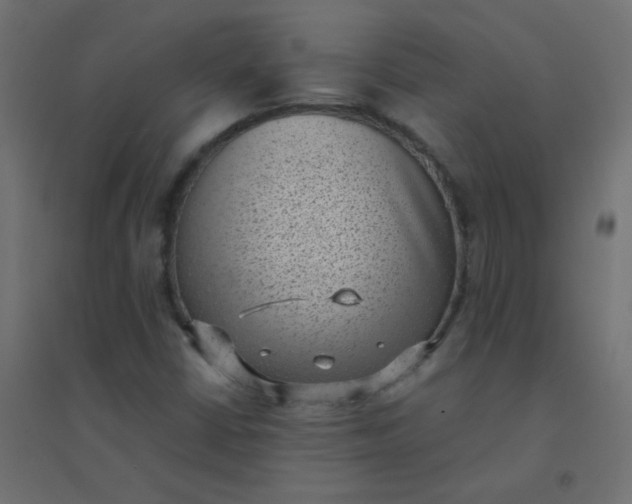X0000094911402200712131442