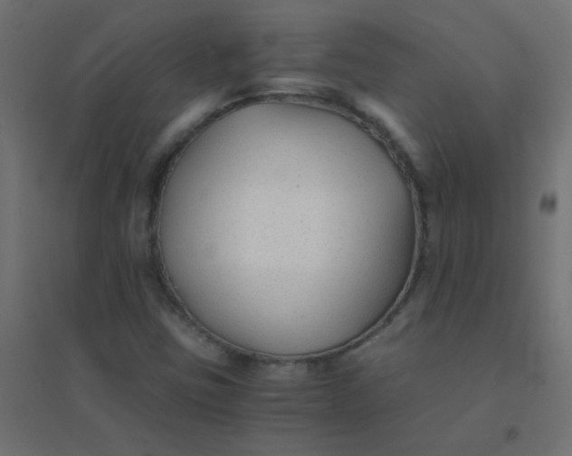 X0000094911403200712131442