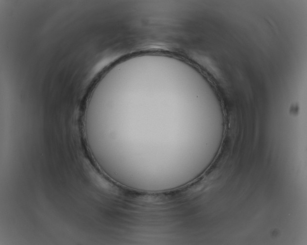 X0000094911404200712131442