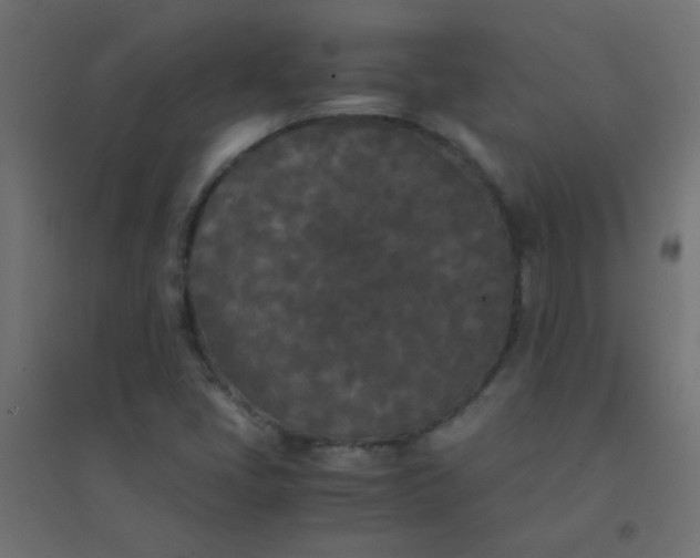 X0000094911405200712131442