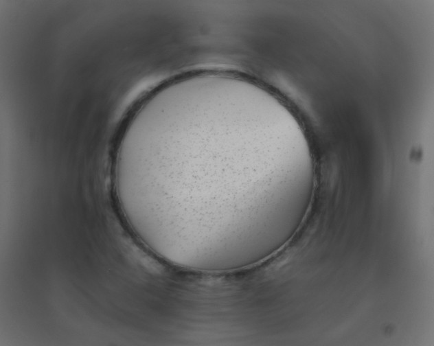 X0000094911408200712131442