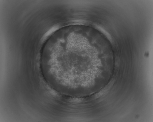 X0000094911411200712131442
