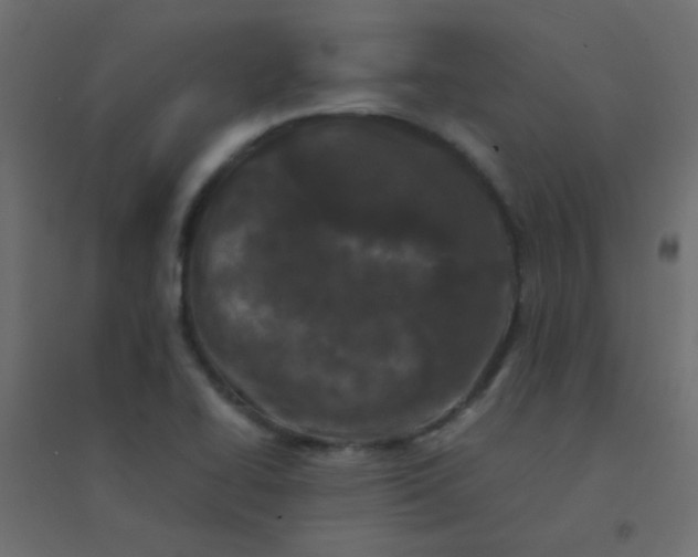 X0000094911414200712131442