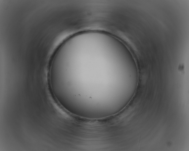X0000094911416200712131442
