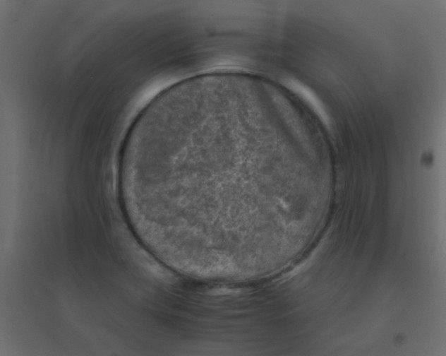 X0000094911419200712131443