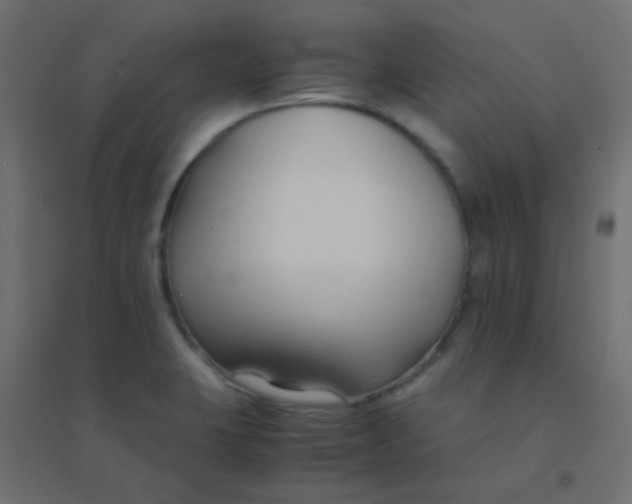 X0000094911423200712131443