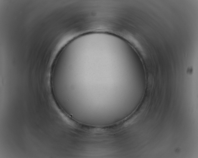 X0000094911424200712131443