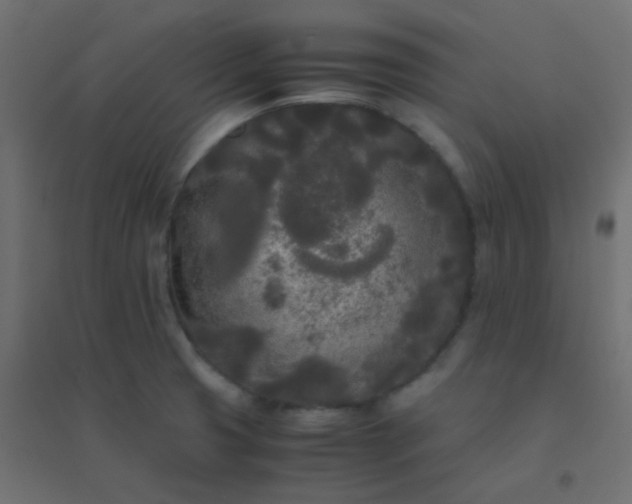 X0000094911425200712131443