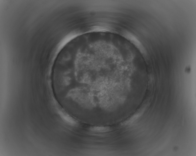 X0000094911427200712131443