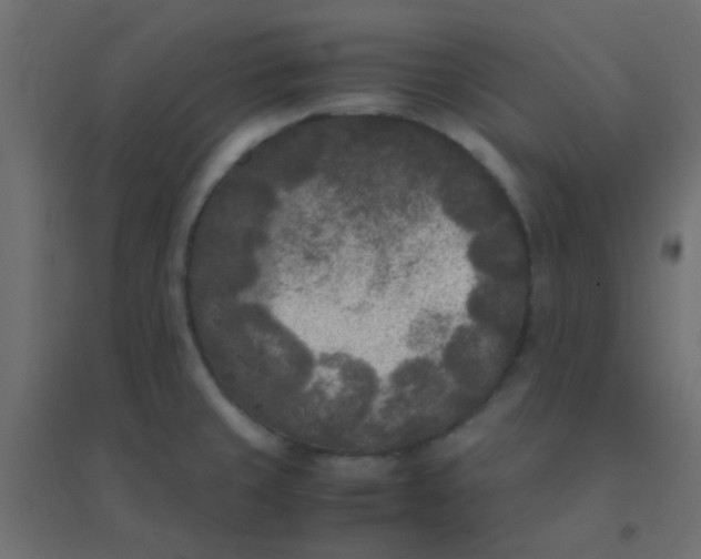 X0000094911429200712131443
