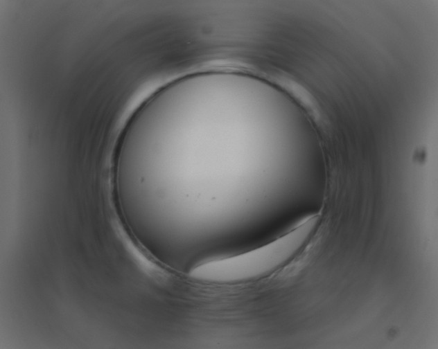 X0000094911430200712131443