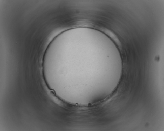 X0000094911431200712131443