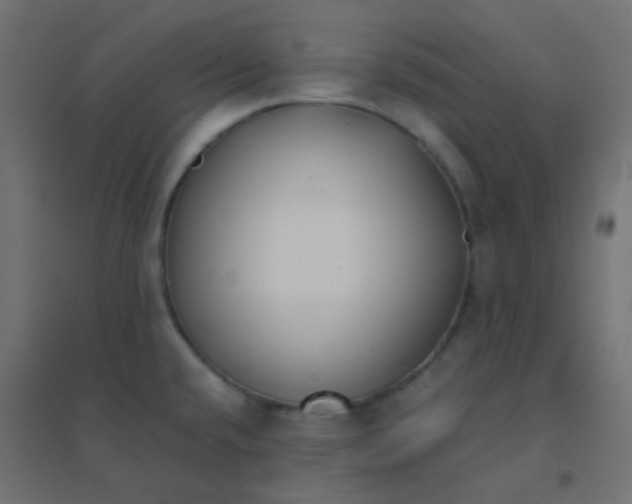 X0000094911432200712131443