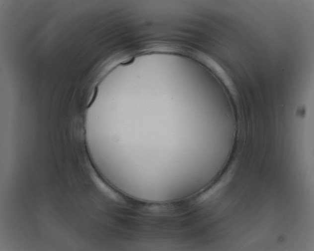 X0000094911433200712131443