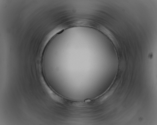 X0000094911434200712131443