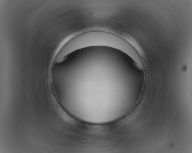 X0000094911436200712131443