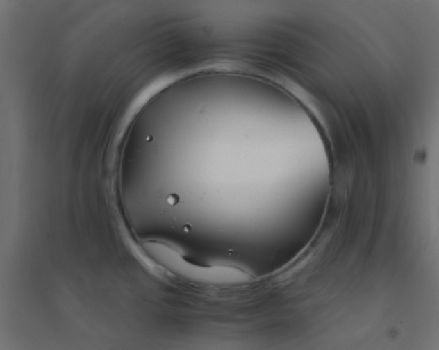 X0000094911437200712131443