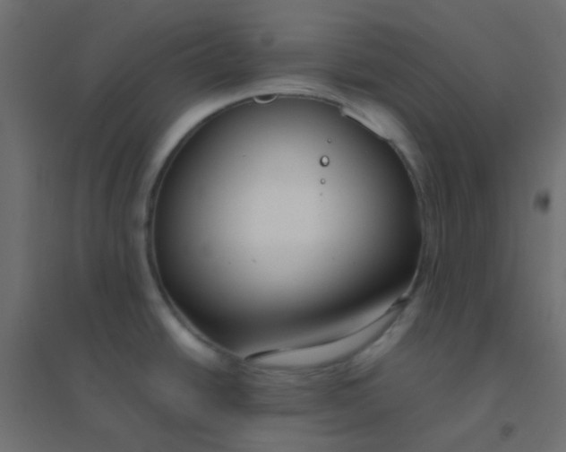X0000094911438200712131443
