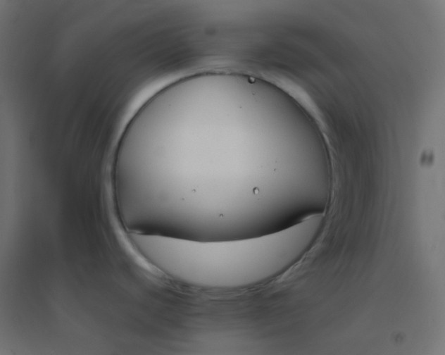 X0000094911440200712131443