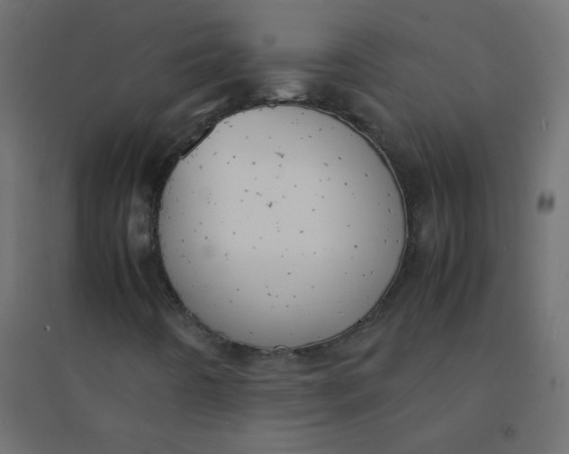 X0000094911442200712131442