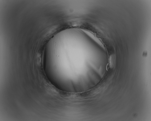 X0000094911443200712131442