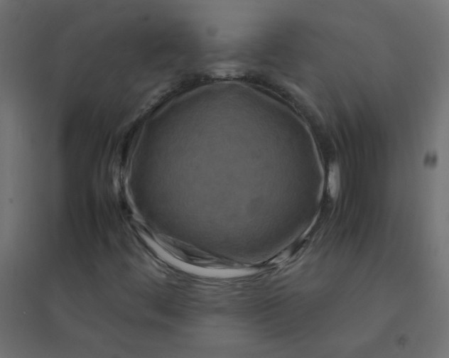 X0000094911444200712131442