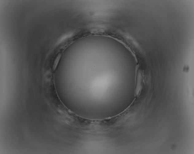 X0000094911445200712131442