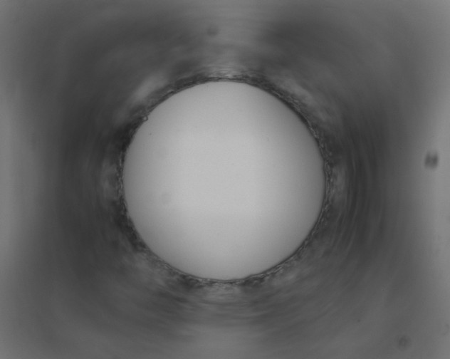 X0000094911446200712131442
